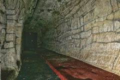 Glenisterstunnel2019